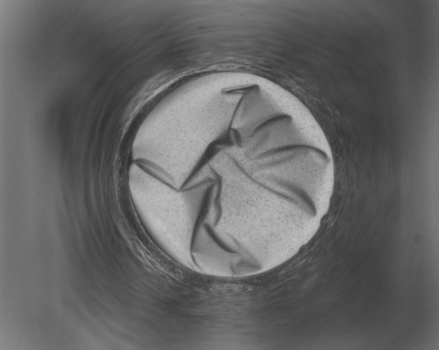 X0000080720242200701121851