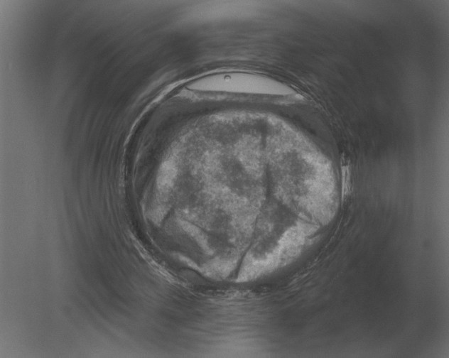 X0000080720243200701121851