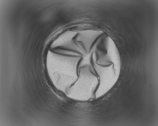 X0000080720245200701121851