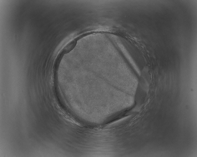 X0000080720247200701121851