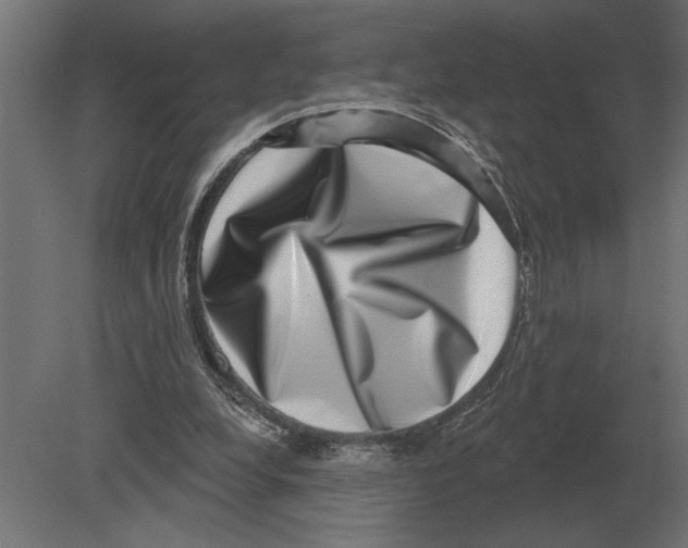 X0000080720248200701121851