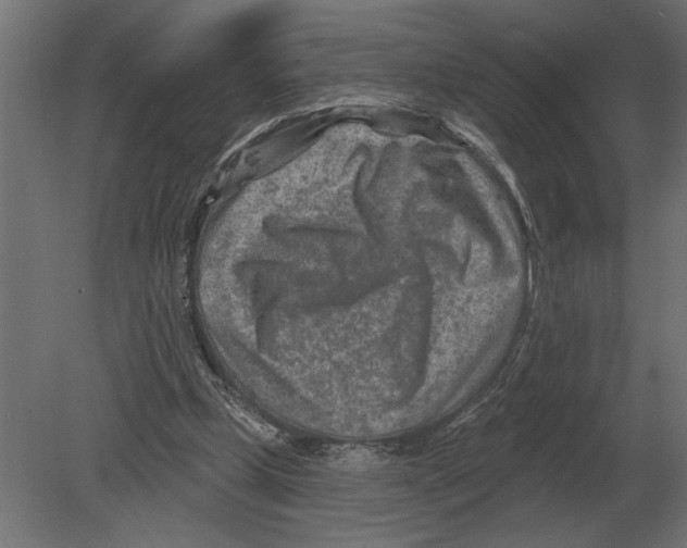 X0000080720249200701121851