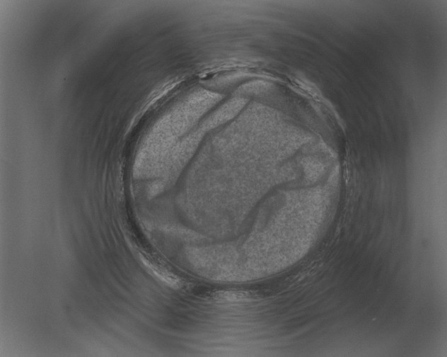 X0000080720250200701121851