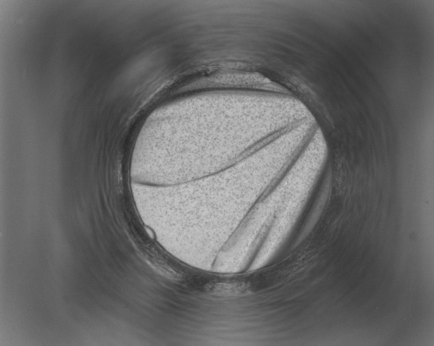 X0000080720251200701121851