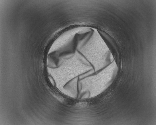 X0000080720252200701121851