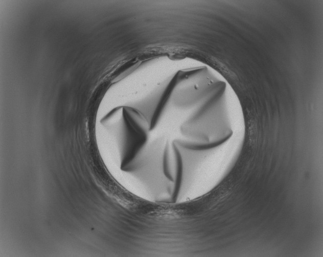 X0000080720254200701121851