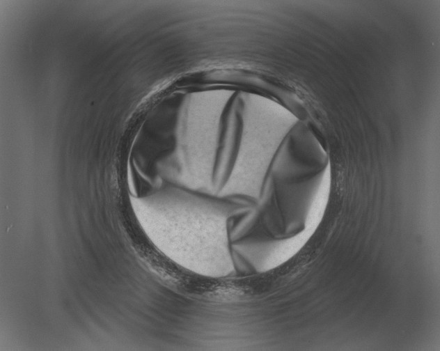 X0000080720256200701121851