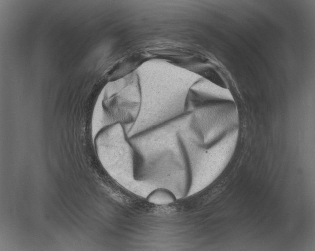 X0000080720257200701121851