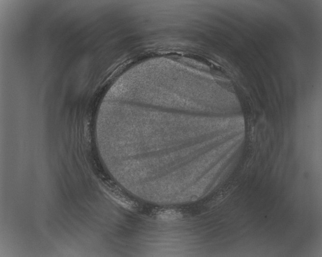 X0000080720258200701121851