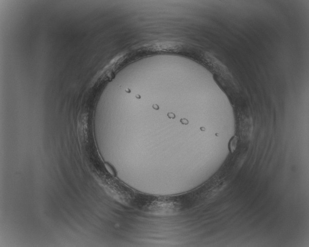 X0000080720260200701121851