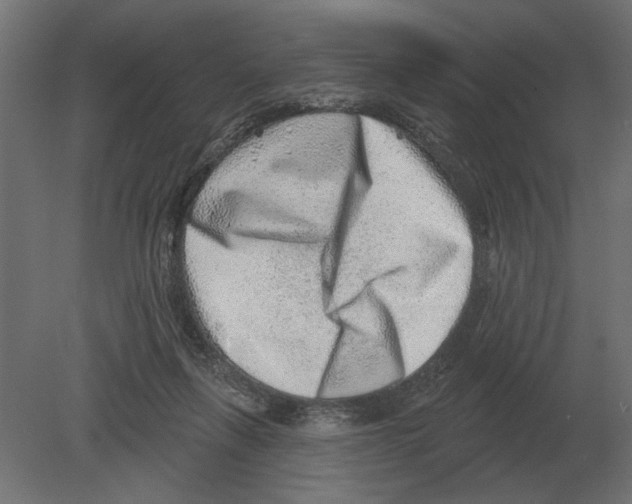 X0000080720263200701121851