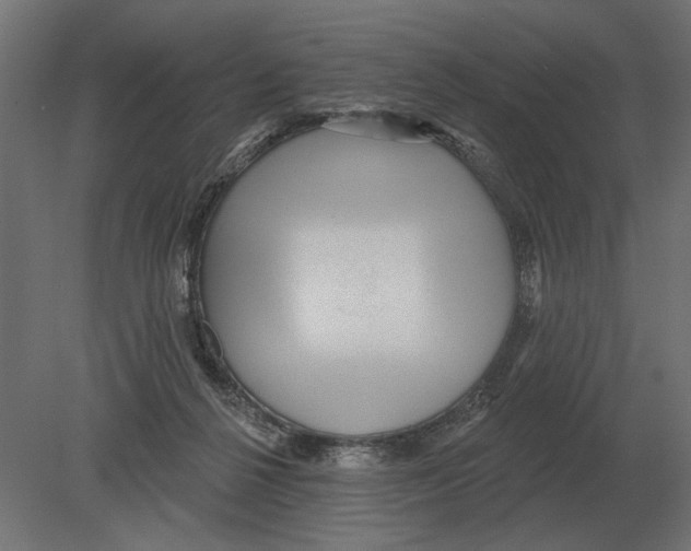 X0000080720264200701121851