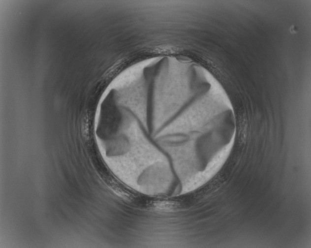 X0000080720268200701121851