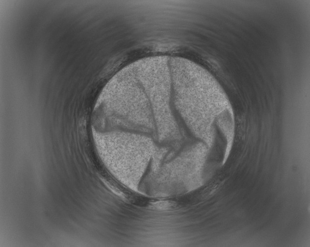 X0000080720269200701121851