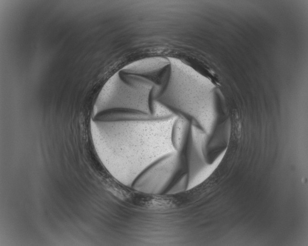 X0000080720270200701121851