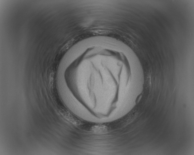 X0000080720271200701121851