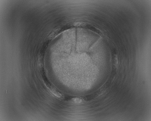 X0000080720272200701121851