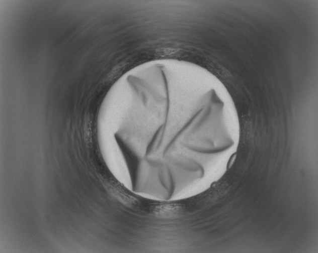 X0000080720274200701121851