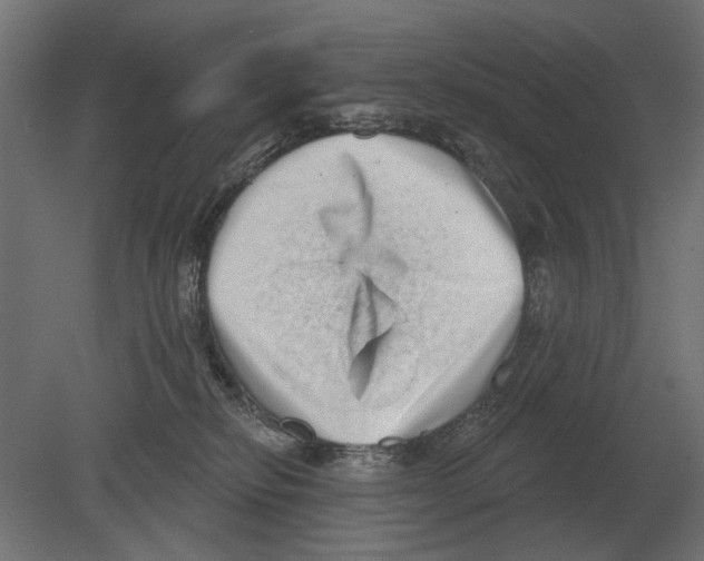 X0000080720278200701121851