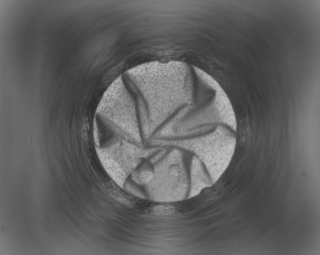 X0000080720279200701121851