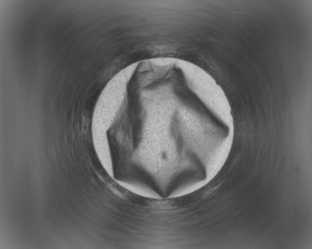 X0000080720281200701121851