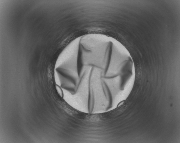 X0000080720282200701121851