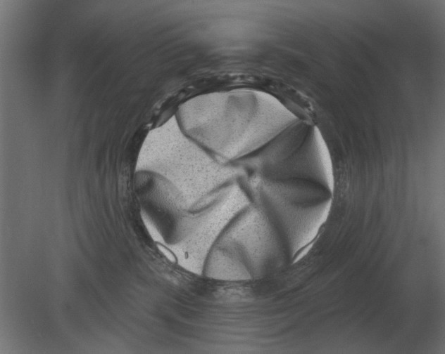 X0000080720283200701121852