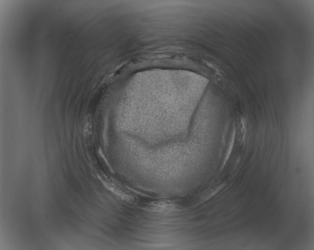 X0000080720284200701121852