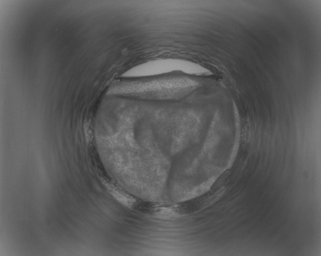 X0000080720285200701121852