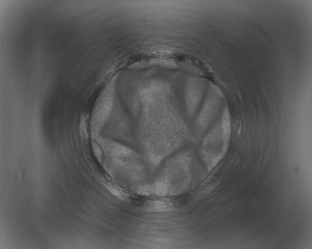 X0000080720286200701121852