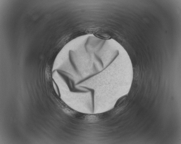 X0000080720287200701121852