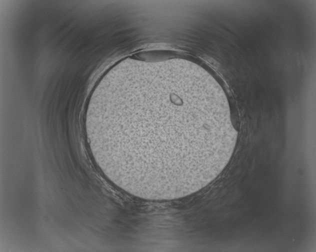 X0000080720289200701121851