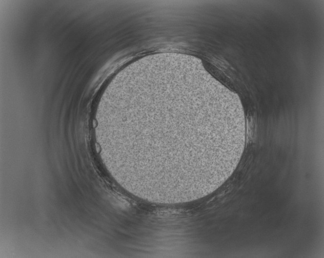 X0000080720291200701121851