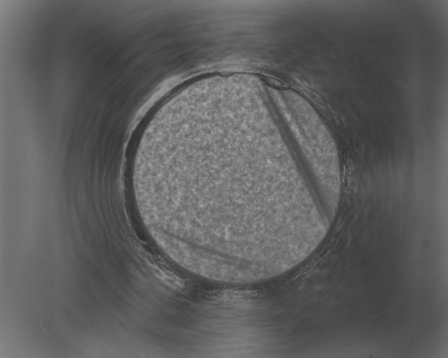 X0000080720292200701121851