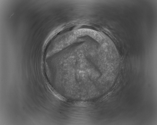 X0000080720293200701121851