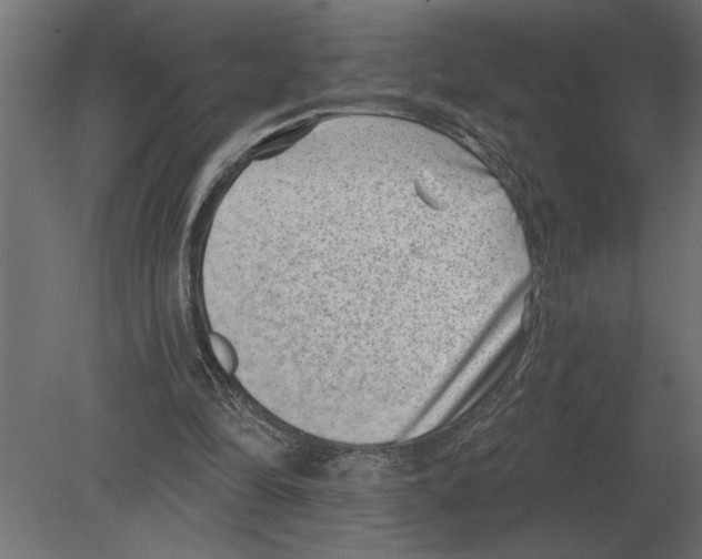 X0000080720294200701121851