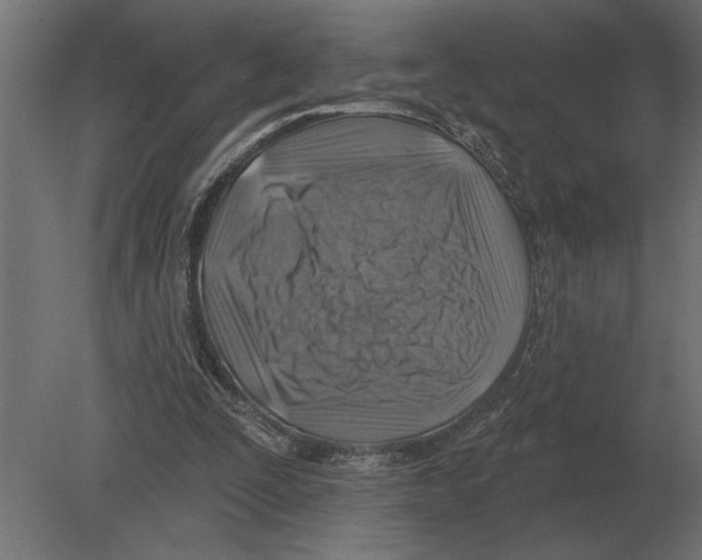 X0000080720295200701121851