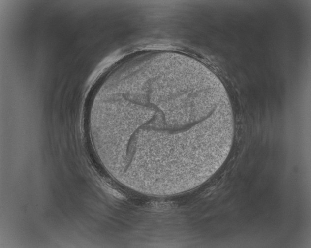 X0000080720296200701121851