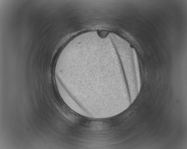 X0000080720298200701121851