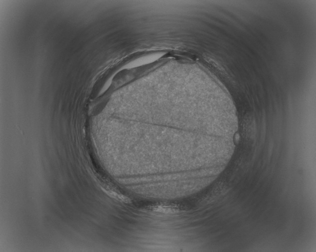 X0000080720303200701121851