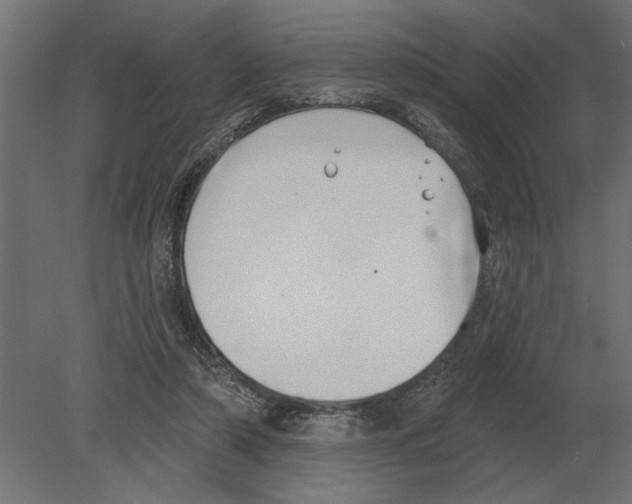 X0000080720306200701121850