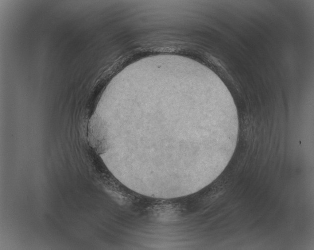 X0000080720307200701121850