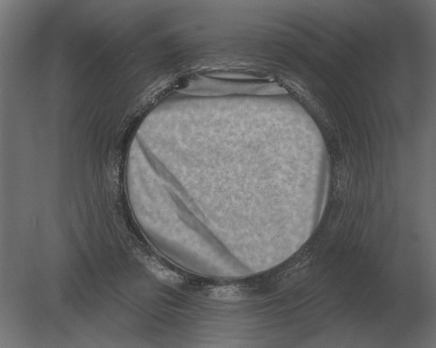 X0000080720309200701121850