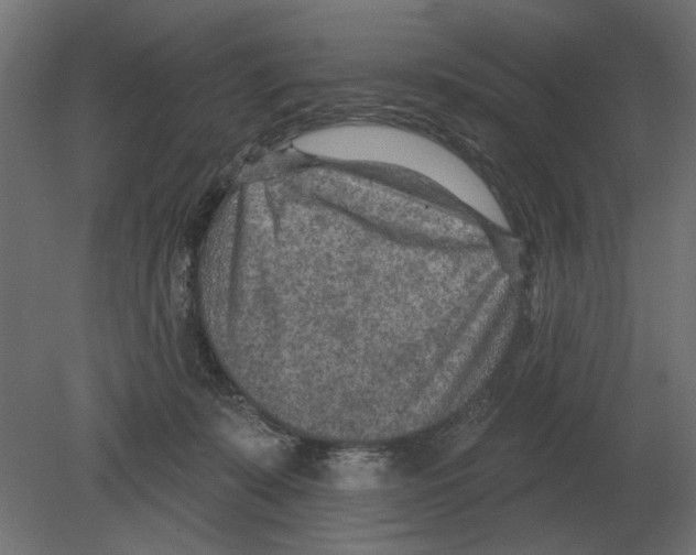 X0000080720319200701121850