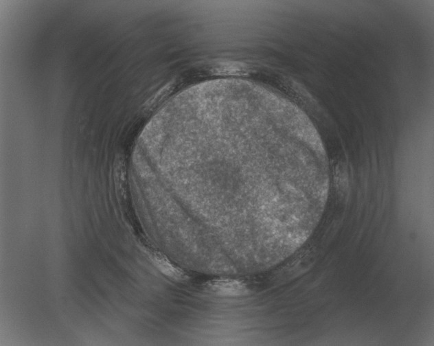 X0000080720322200701121850