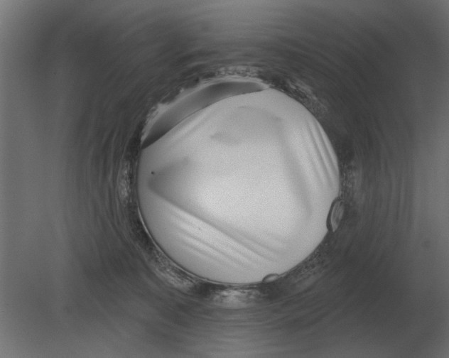 X0000080720323200701121850