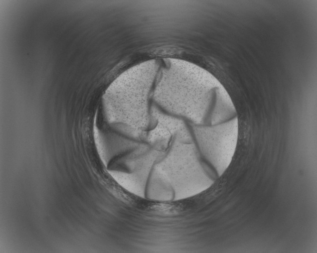 X0000080720326200701121850