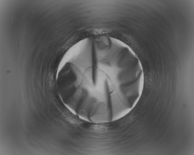 X0000080720327200701121850