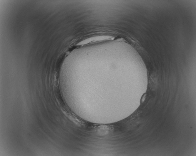 X0000080720330200701121850