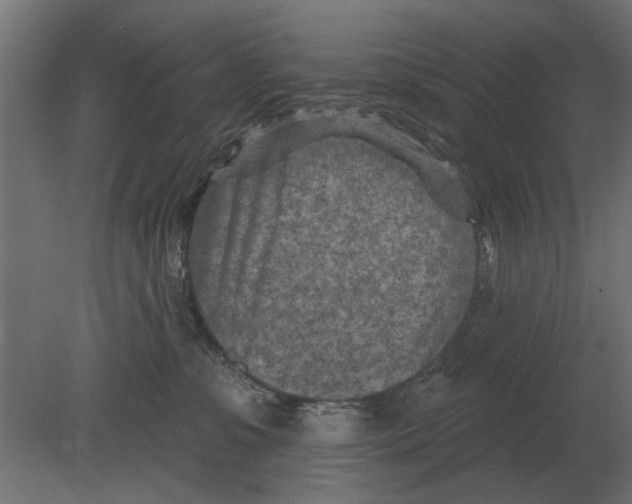 X0000080720331200701121850